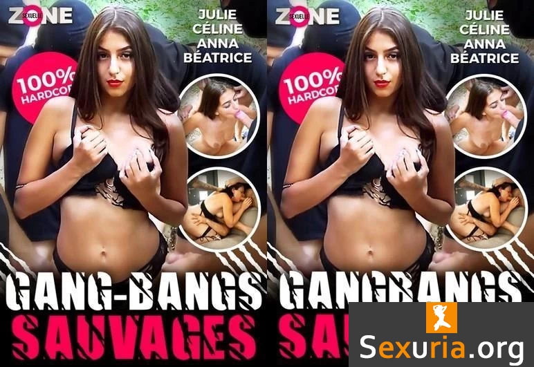 Gangbangs Sauvages (1080p)
