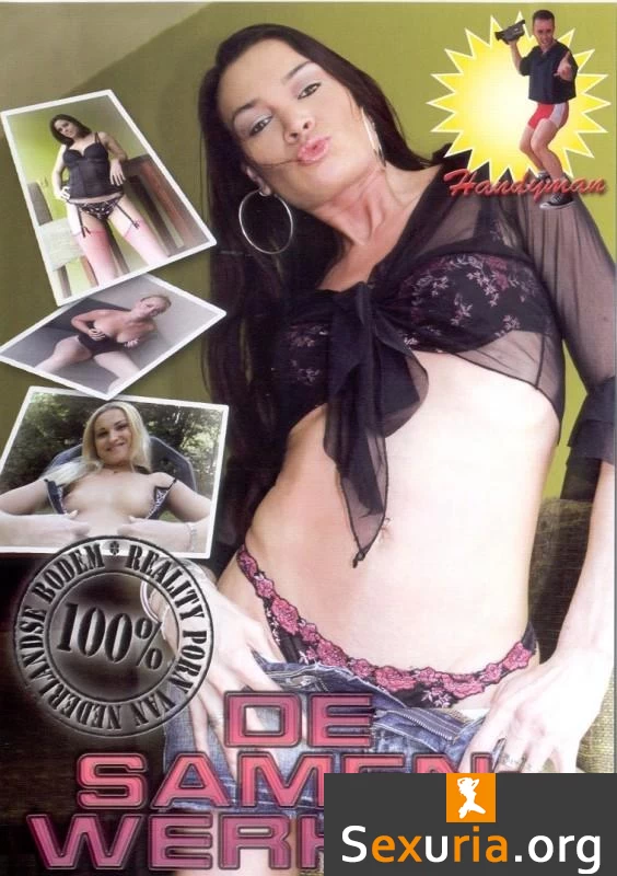 Handyman 71 De Samenwerking