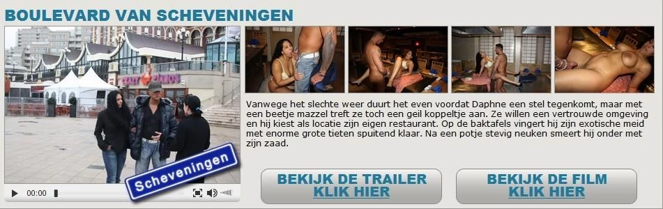 StellenVanDeStraat - Boulevard van Scheveningen 720p