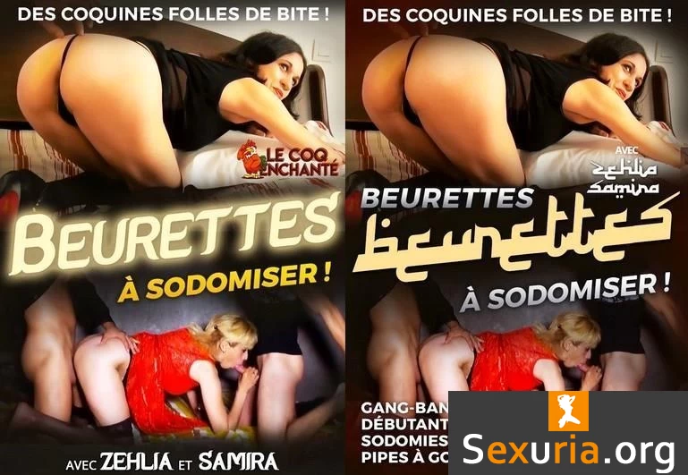 Beurettes A Sodomiser (720p)