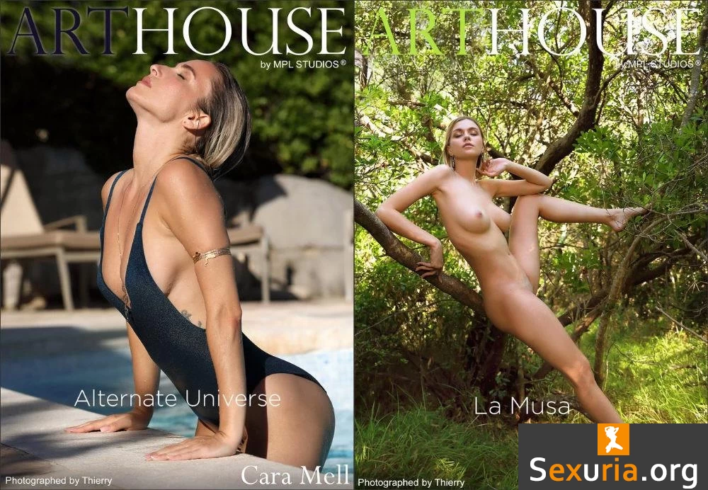 MPL-Studios - ArtHouse Mai 2022