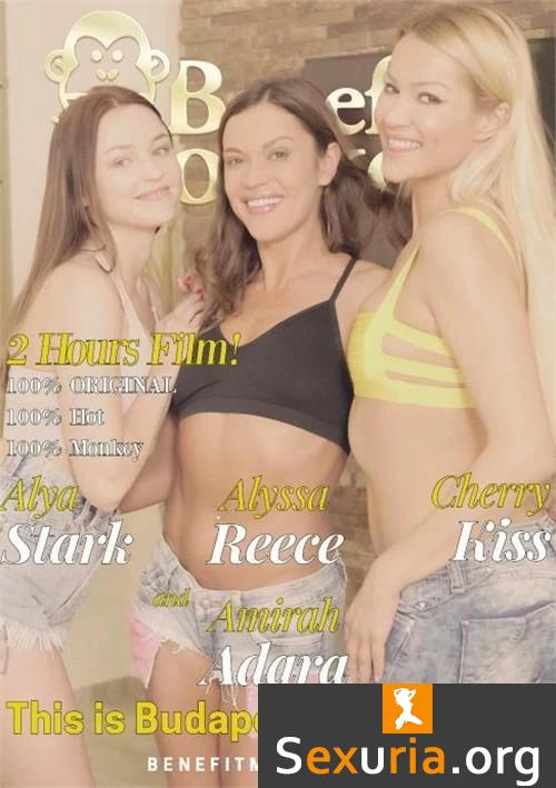 This Is Budapest The Movie