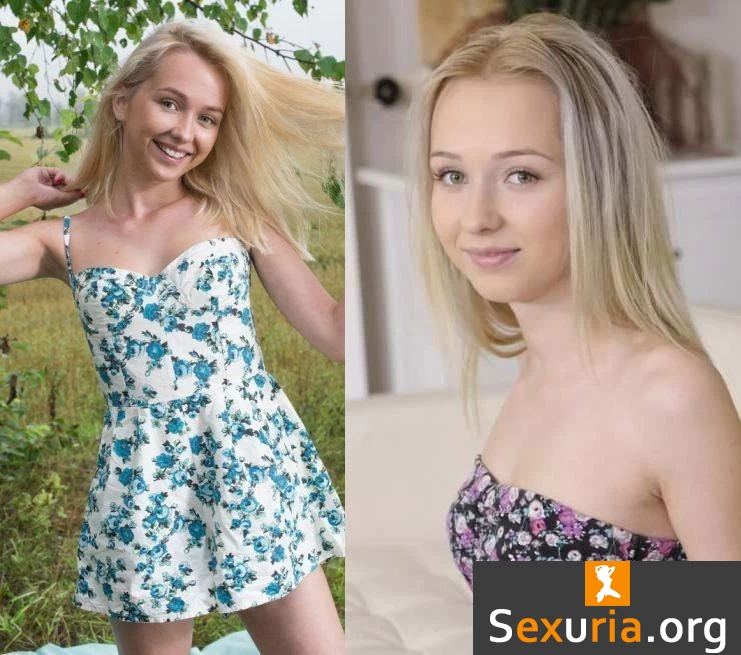 Bernie Collection - MegaPack