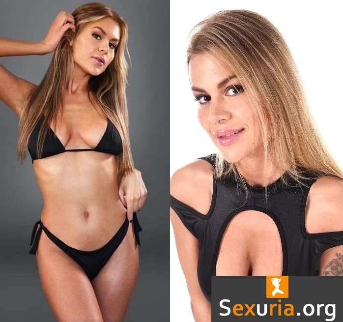 Zlata Shine Collection - MegaPack