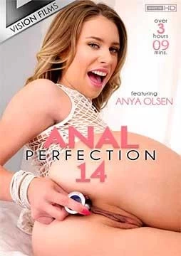 Anal Perfection 14 - 720p