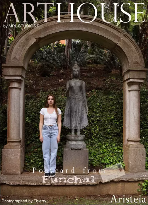 Aristeia - Postcard from Funchal