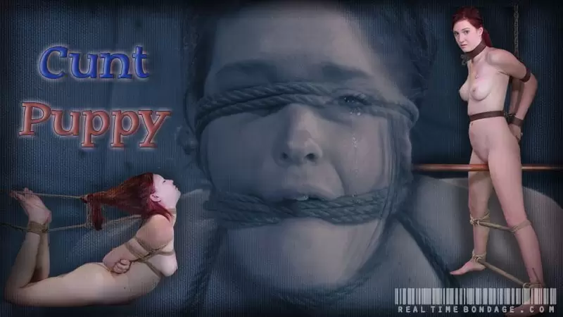 Cunt Puppy Part 2 720p