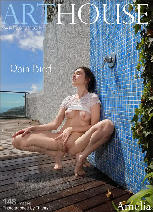 Amelia - Rain Bird
