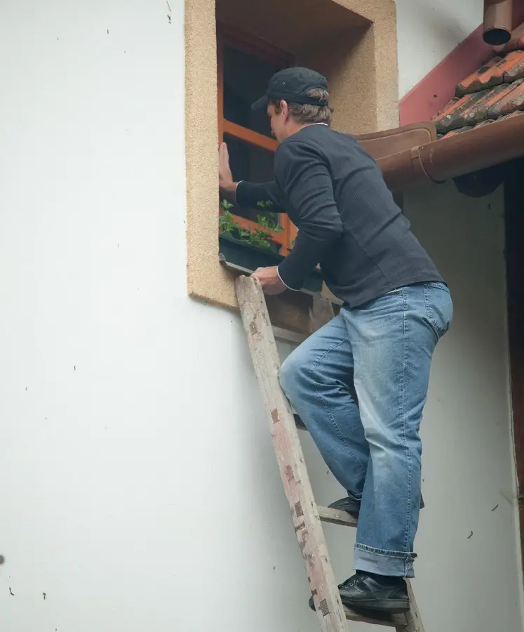 Isabella Chrystin - Wild Girl 2 FullHD 1080p