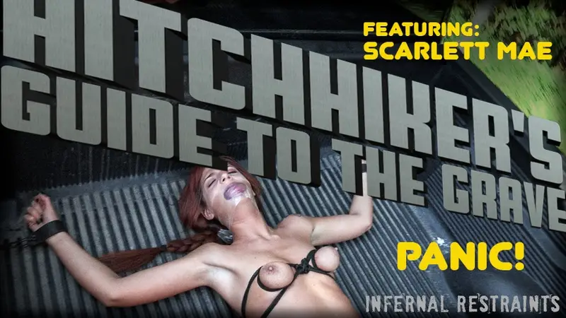 Hitchhiker's Guide to the Grave 720p