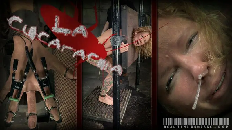 La Cucaracha, Part 3 720p