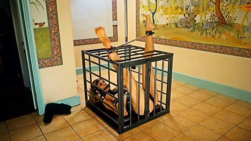 Long Term Pony Girl Training 4 2160p