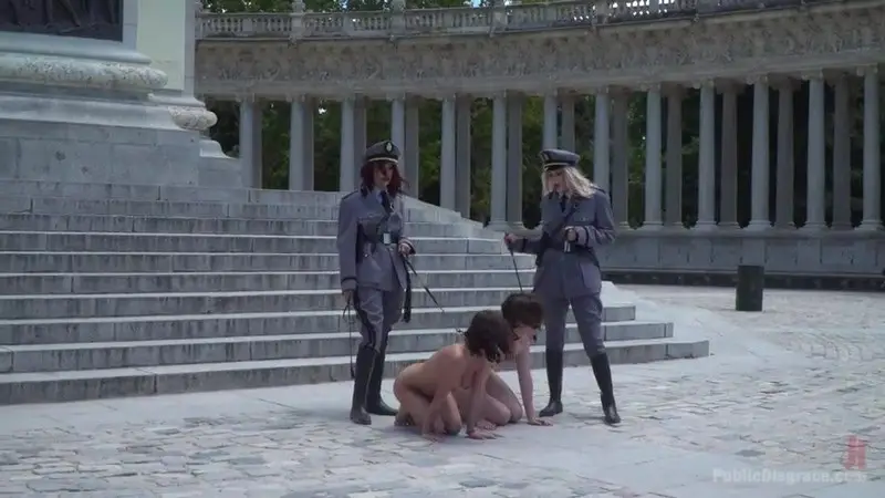 Pet Bitches Disgraced on Public Walk