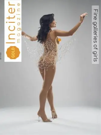 Inciter Magazine - January 2024