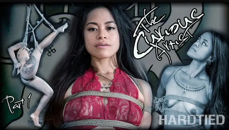 The Curious Artist Part 1 720p