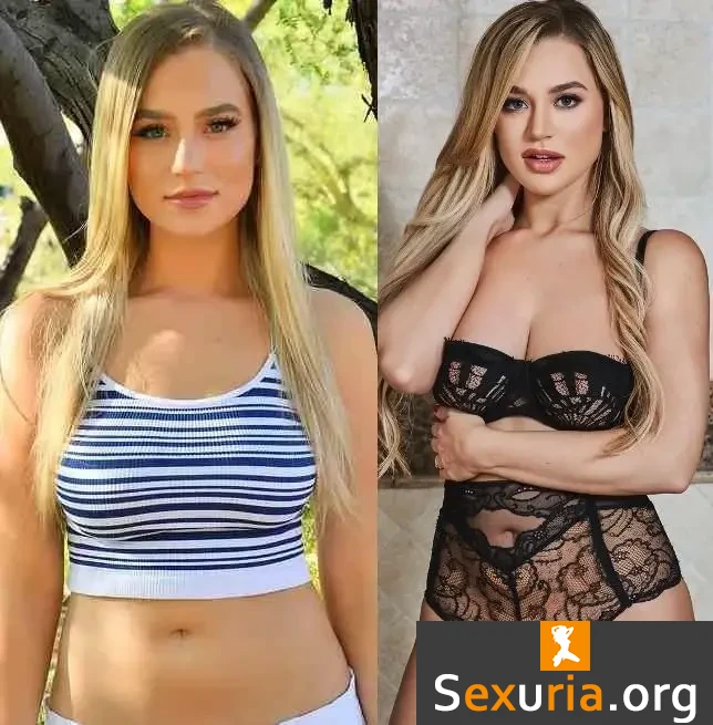 Blake Blossom Collection - MegaPack