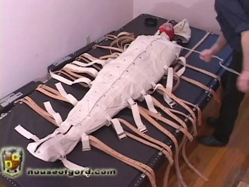 Travis Cocoons Lady Serena