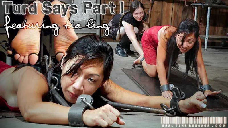 Turd Says Part 1 720p