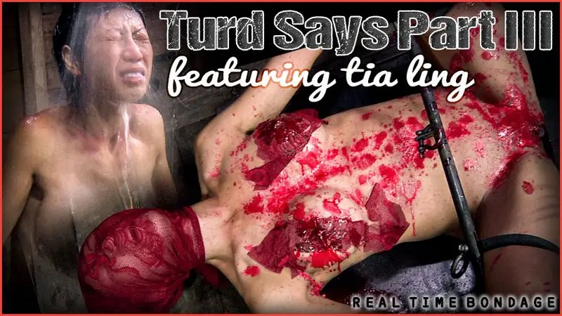 Turd Says Part 3 720p