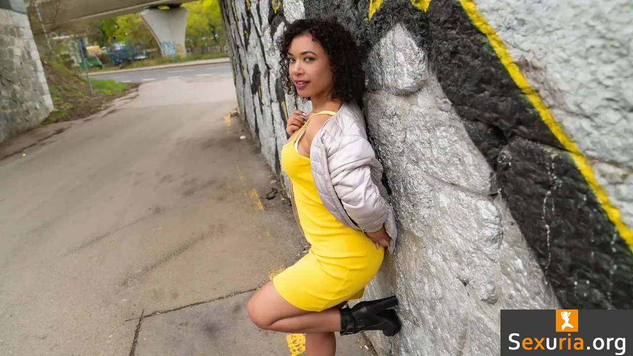 Public Agent - Tahlia Lane [1080p/SD]