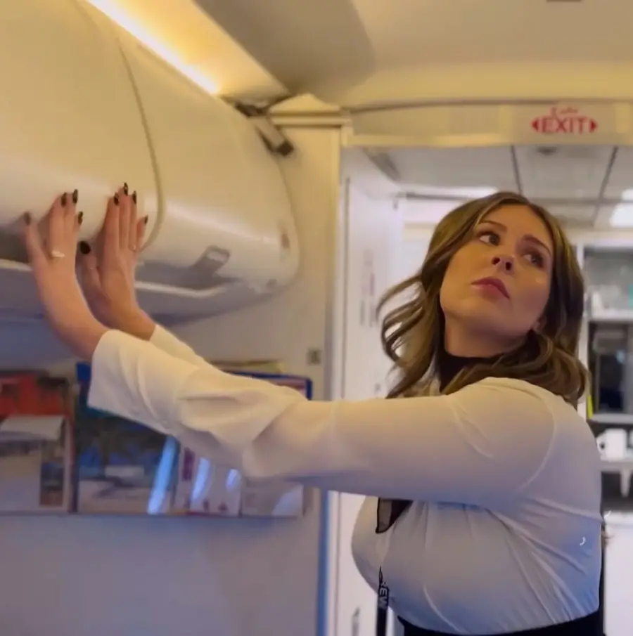 Erin Moore - Spit Roasted As An Air Hostess Complete With Double Facial FullHD 1080p