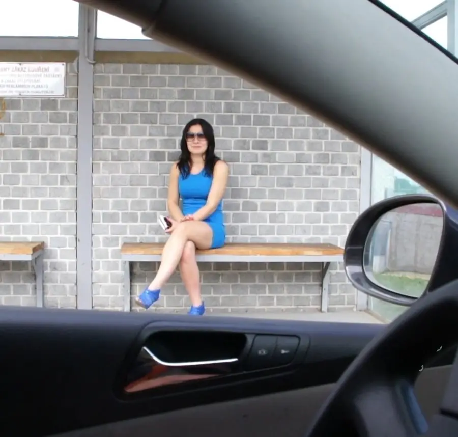 Wendy Moon - Hitchhiker Gets Humped in a Field FullHD 1080p