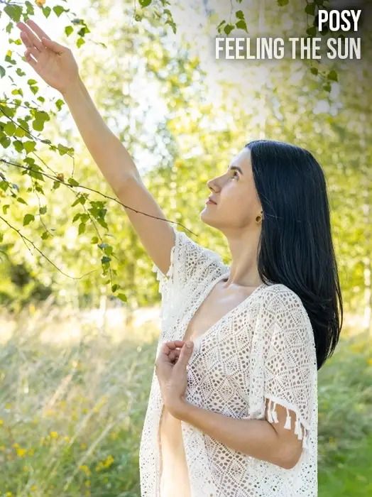 Posy - Feeling the Sun