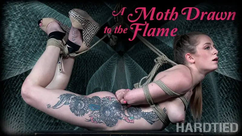 A Moth Drawn To The Flame 720p