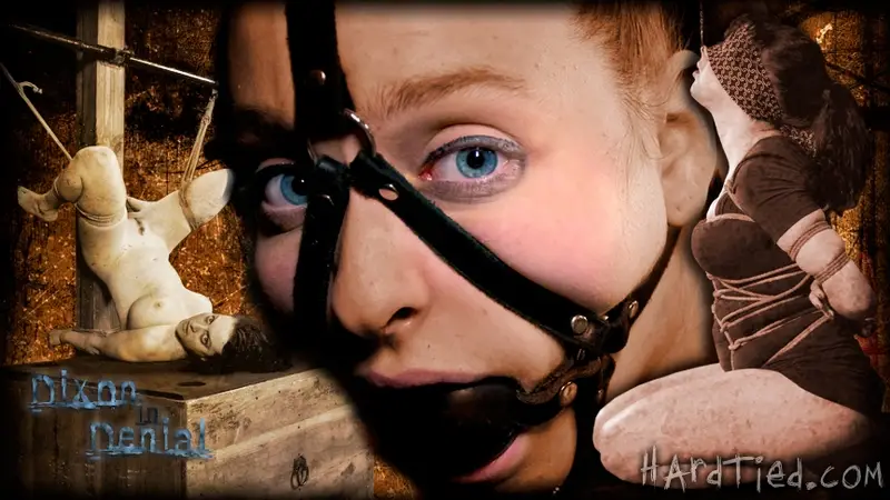 Dixon in Denial 720p