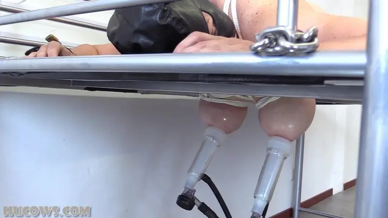 On The Milking Bed 1080p